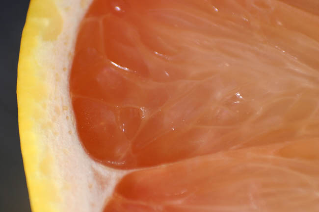 Macro0101